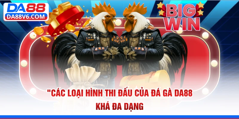 Các loại hình thi đấu của đá gà Da88 khá đa dạng