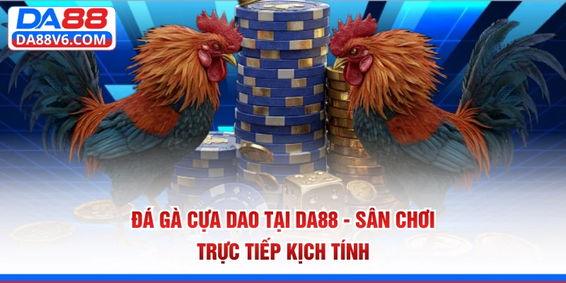 đá gà cựa dao